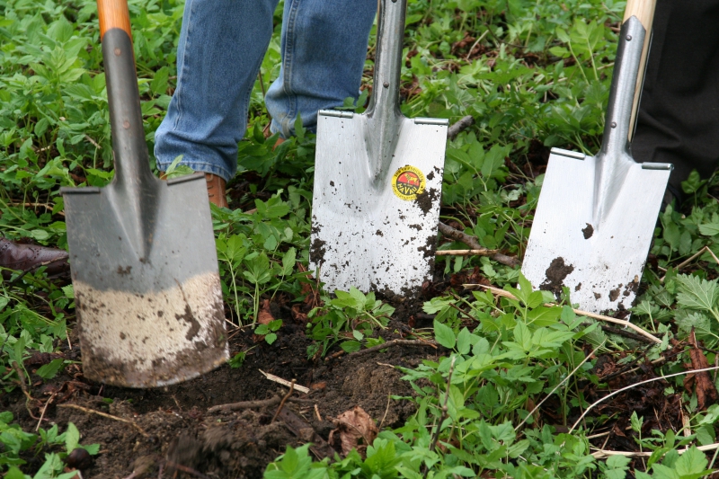 pepiniere-COARAZE-min_work-lawn-flower-tool-green-backyard-1103633-pxhere.com